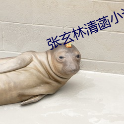 张玄林(l¨ªn)清菡(hàn)小说全部章节免费阅读