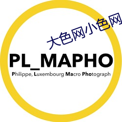 大色网小色网