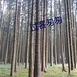 过客匆(匆)匆