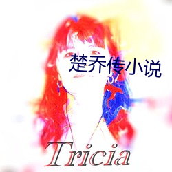 楚乔传小说