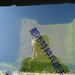 都市特种兵(兵)陈天
