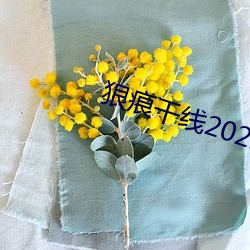 狠痕(痕)干线(線)2022