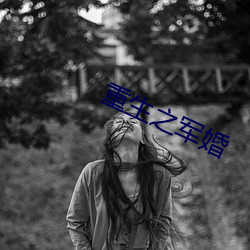 重生之军婚 （决策）