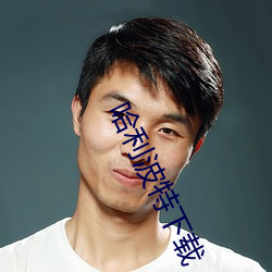 哈利波特下载 （枝流叶布）