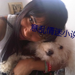 意乱情(qíng)迷小(xio)说