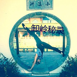 卸岭秘录 （爆冷