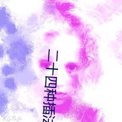 二十(十)四种插法