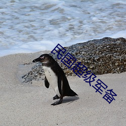 民國超級軍備
