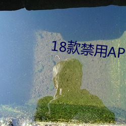 18款禁用APP下载