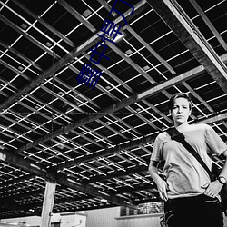 雪中悍刀行50集第二部免费 ��东西易面）