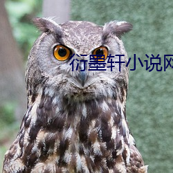 衍墨轩(軒)小说(說)网