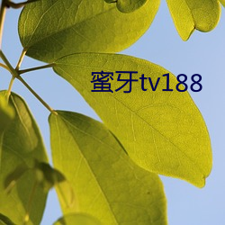 蜜牙tv188 （定位）