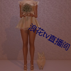 浪花tv直播間