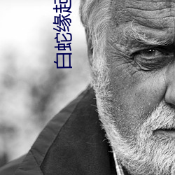 白蛇缘起高污文