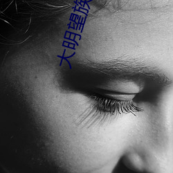 大明(míng)望族