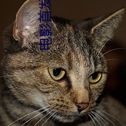 尊龙凯时·(中国)官方网站