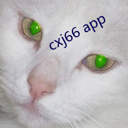 cxj66 app