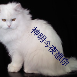 AG真人平台(中国)官方网站