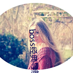 boss经典(典)导(導)航王