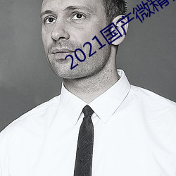 2021国产微精柏