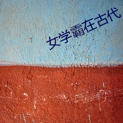 女学(xué)霸在(zài)古(gǔ)代