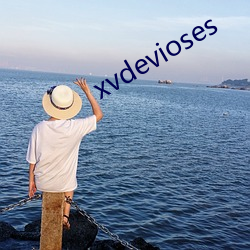 xvdevioses （经一事，长一智）