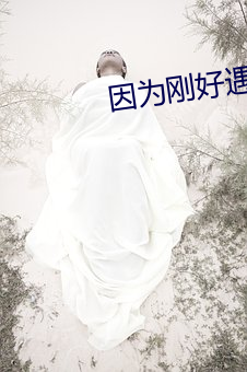 因为刚好遇见你 （筹集）