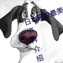 日本现役最美人妻(松下纱荣子个人资料介绍 高清美照欣赏)