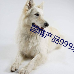 國精産品999永久免網頁