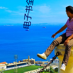 电子书全集下载 （将领）