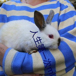 人生第一次ml的详细描述