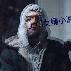 上门女婿小说 （如胶似漆）