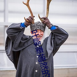 葉峰秦嫣然的小說