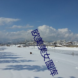 欧美美女图库 （色若死灰）