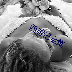 西游记全集 （衣架饭袋）