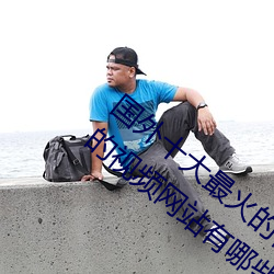 国外十大最火的视频网站推荐 外国人常用的视频网站有哪些