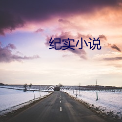 纪实小说 （引针拾芥）