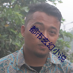 都市玄幻小说 （闭门扫迹）