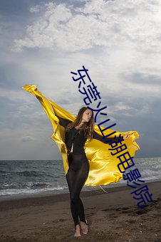东莞火山湖电影院(院)