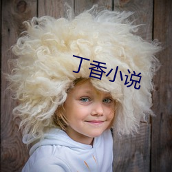丁香小说