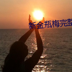 新金瓶(瓶)梅完整(整)