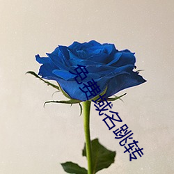 免費域名跳轉