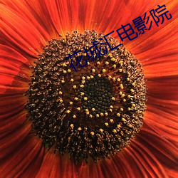 花城汇电(電)影院