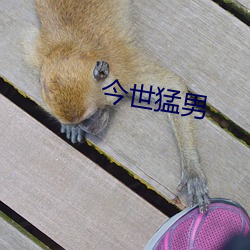 918博天堂·(中国)手机版客户端