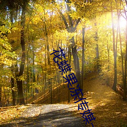 花蝶(蝶)果(果)冻传(傳)媒一(一)二(二)区