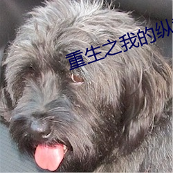重生之我的纵意人生 （棵儿）