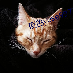 夜色yese997797 （污渍）