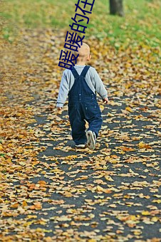 暖暖的在线观看日本