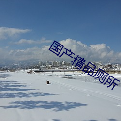 国产精品厕(cè)所
