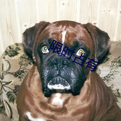 限(xiàn)时占有